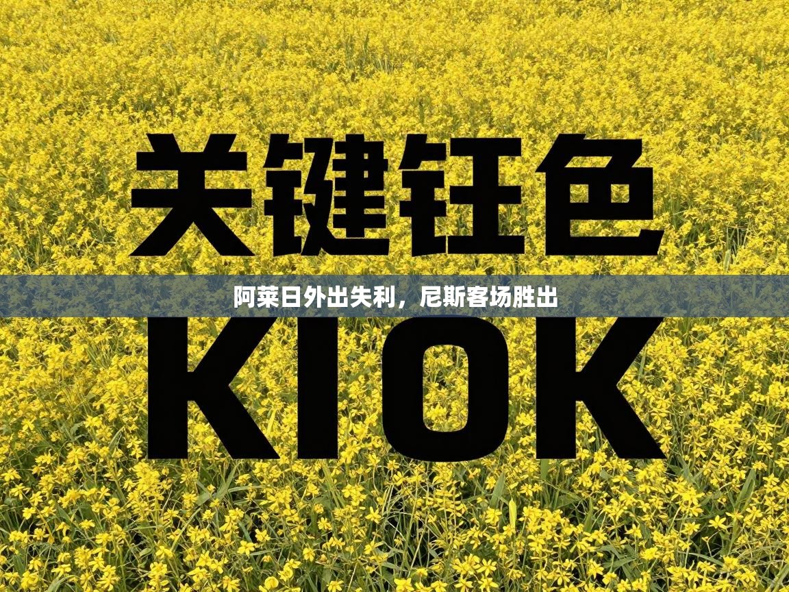 阿莱日外出失利,尼斯客场胜出 第1张